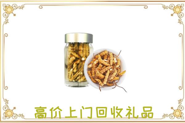 宁德周边回收虫草